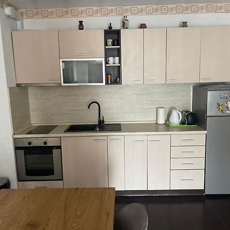 Studio Kuban Lägenhet Slăntjev Brjag Exteriör bild