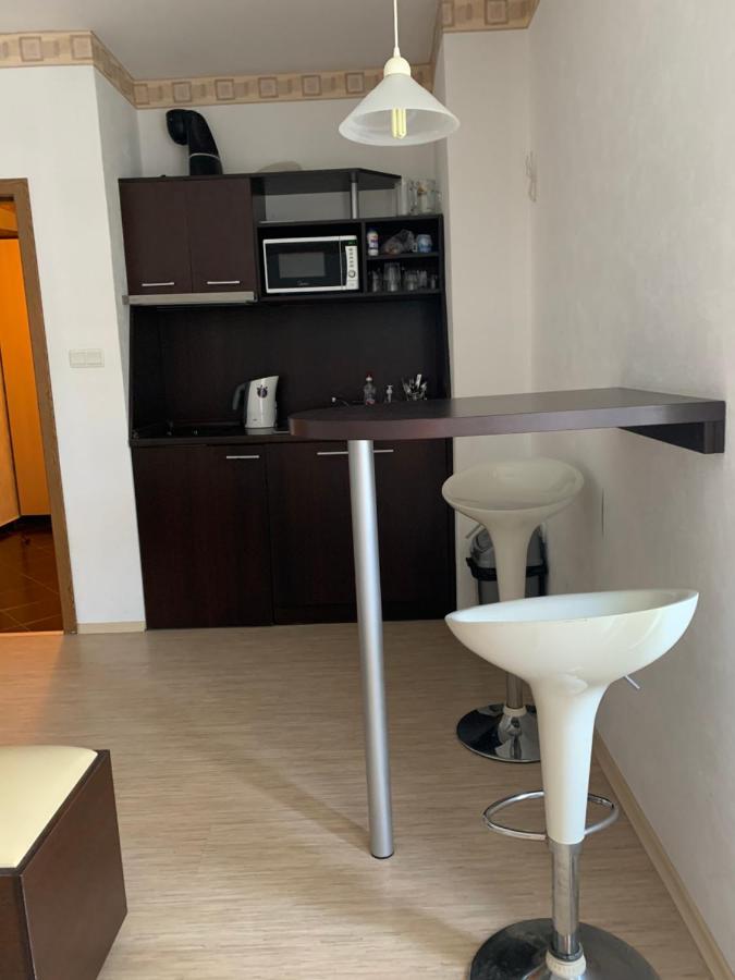 Studio Kuban Lägenhet Slăntjev Brjag Exteriör bild